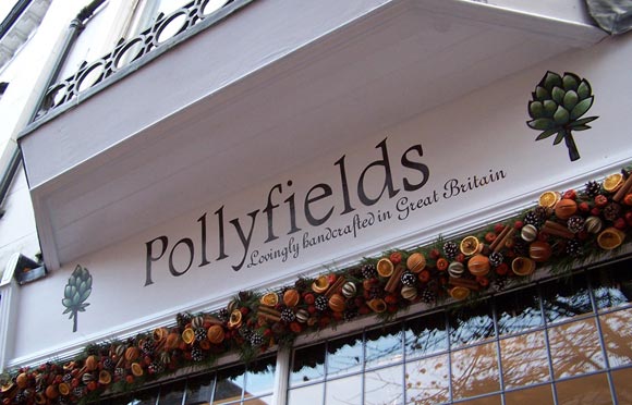 Pollyfields